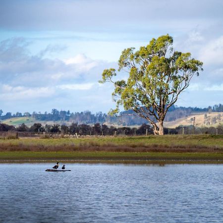 Blackwood Park Cottages Mole Creek Εξωτερικό φωτογραφία