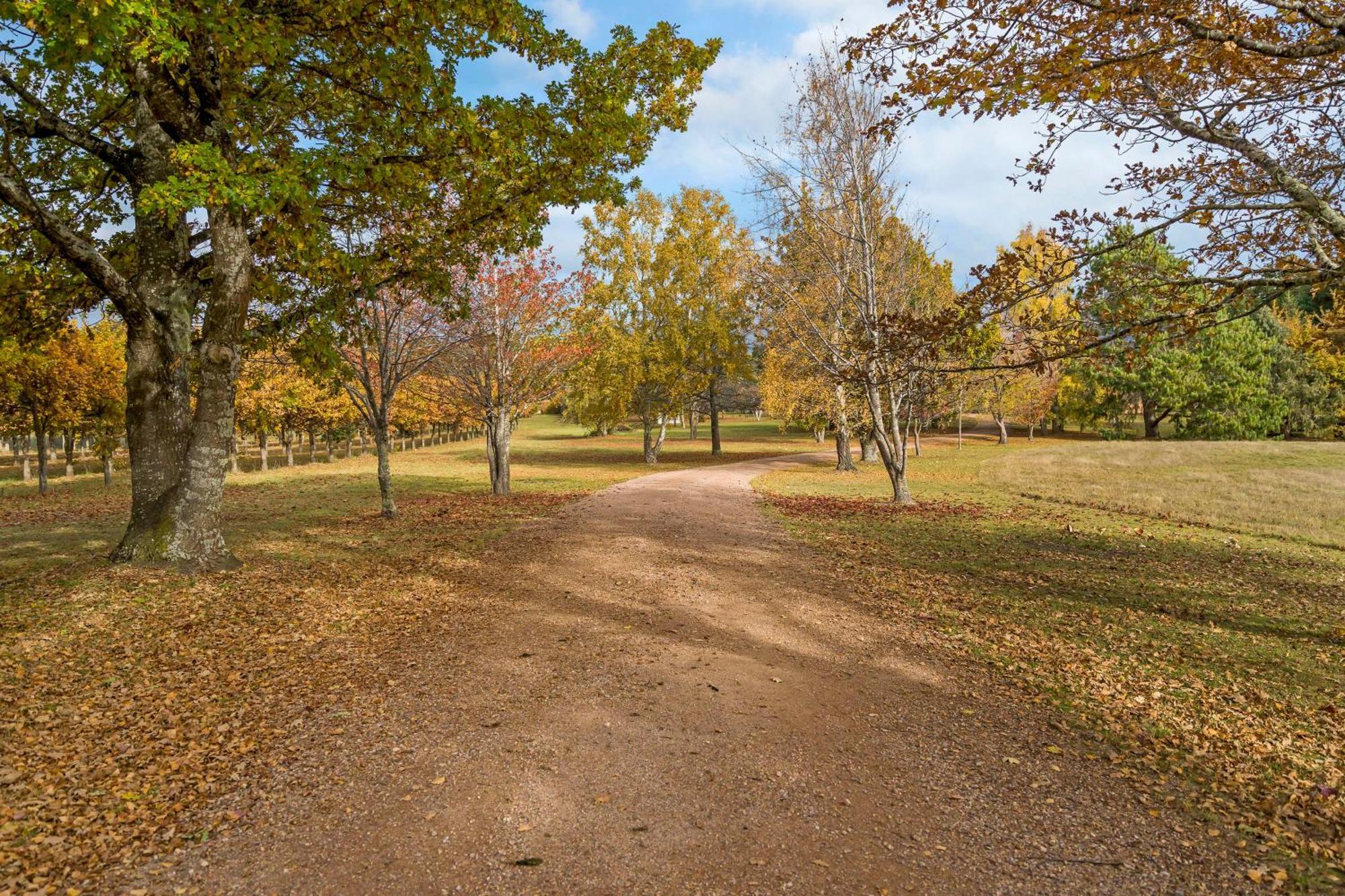 Blackwood Park Cottages Mole Creek Εξωτερικό φωτογραφία