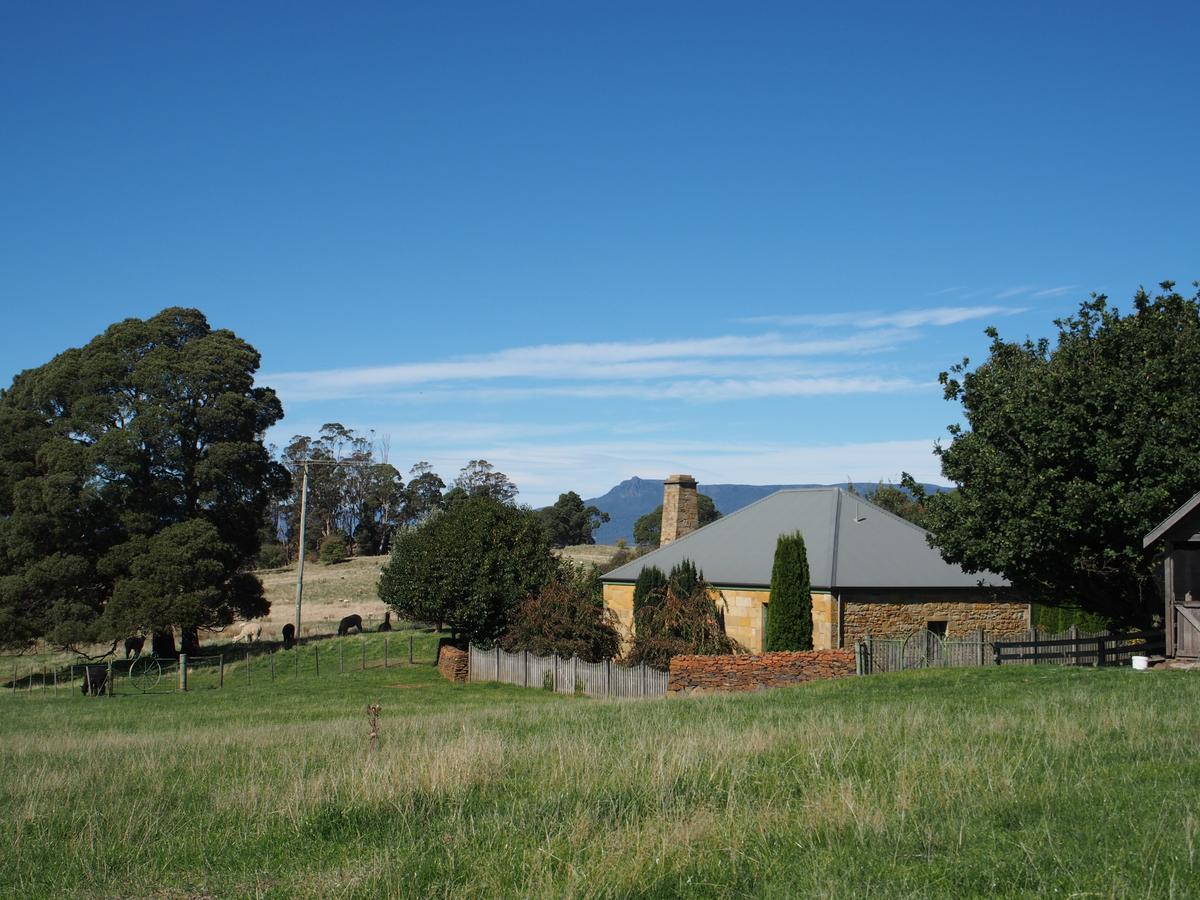 Blackwood Park Cottages Mole Creek Εξωτερικό φωτογραφία